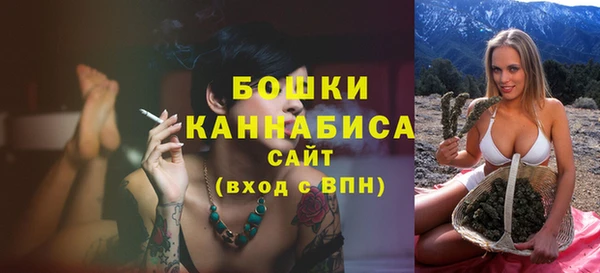 винт Вяземский