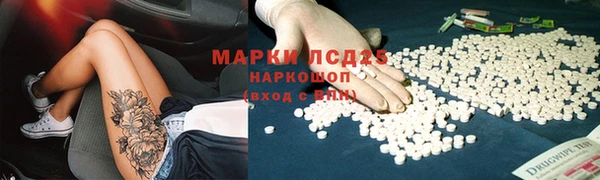 винт Вяземский